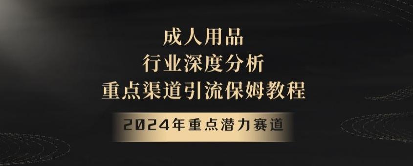 2024年重点潜力赛道，成人用品行业深度分析，重点渠道引流保姆教程【揭秘】-游客之家