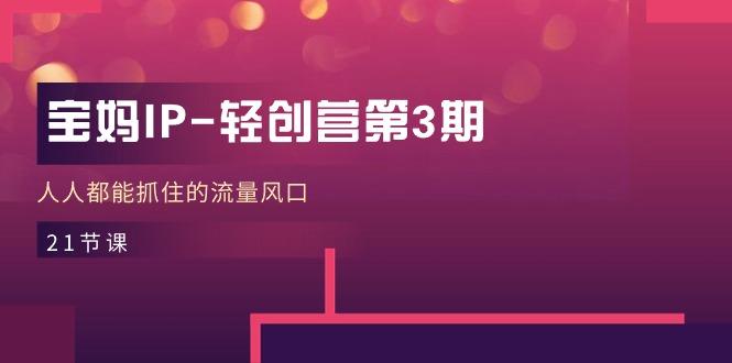 宝妈IP-轻创营第3期，人人都能抓住的流量风口(21节课-游客之家