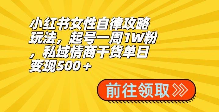 小红书女性自律攻略玩法，起号一周1W粉，私域情商干货单日变现500＋-游客之家