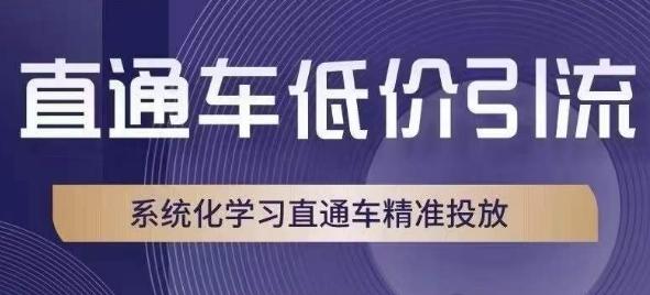 直通车低价引流课，系统化学习直通车精准投放-游客之家
