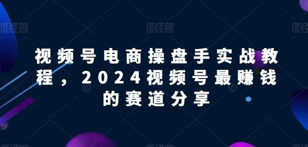 视频号电商实战教程，2024视频号最赚钱的赛道分享-游客之家