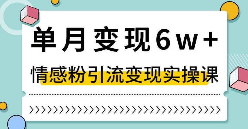 单月变现6W+，抖音情感粉引流变现实操课，小白可做，轻松上手，独家赛道【揭秘】-游客之家