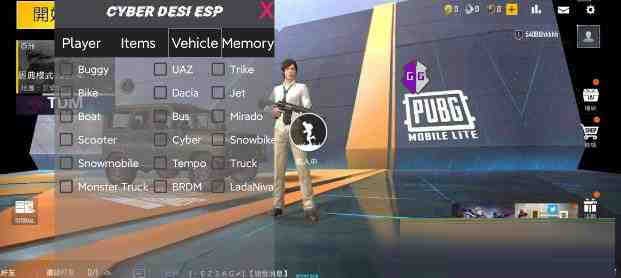 PUBG轻量老外裸奔绘制+自瞄 支持ROOT和框架 里面有全局离线-游客之家