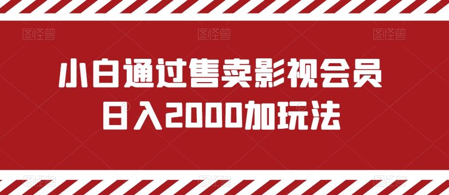 小白通过售卖影视会员日入2000加玩法-游客之家