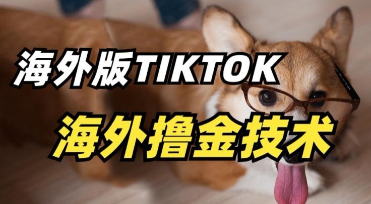 抖音海外版tiktok撸金技术，这个风口行业，赚钱真的不难【揭秘】-游客之家