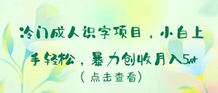 冷门成人识字项目，小白上手轻松，暴力创收月入5w+【揭秘】-游客之家