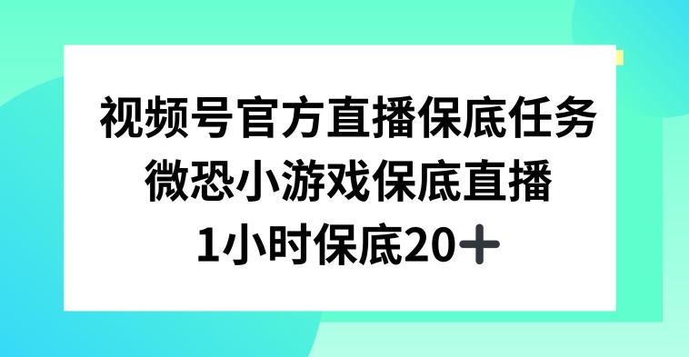 视频号直播任务，微恐小游戏，1小时20+【揭秘】-游客之家