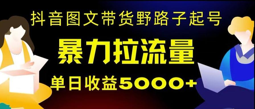 抖音图文带货暴力起号，单日收益5000+，野路子玩法，简单易上手，一部手机即可【揭秘】-游客之家