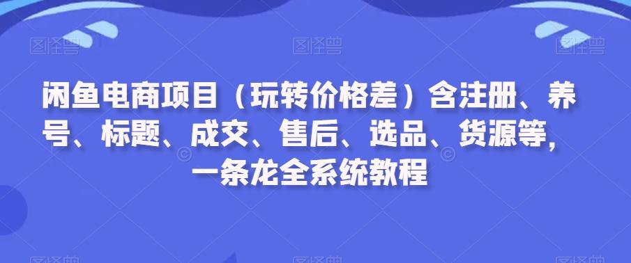 闲鱼电商项目(玩转价格差)含注册、养号、标题、成交、售后、选品、货源等，一条龙全系统教程-游客之家