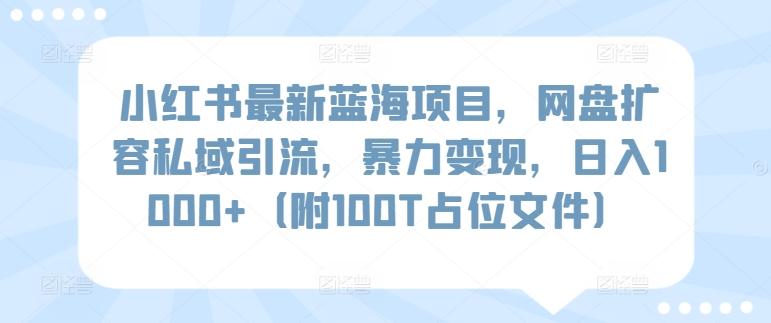 小红书最新蓝海项目，网盘扩容私域引流，暴力变现，日入1000+(附100T占位文件)【揭秘】-游客之家