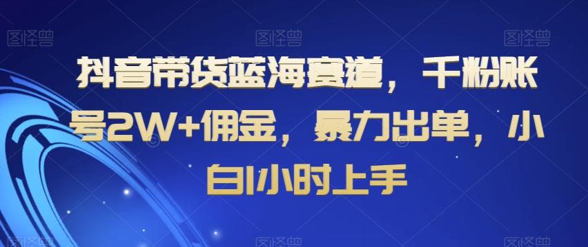 抖音带货蓝海赛道，千粉账号2W+佣金，暴力出单，小白1小时上手【揭秘】-游客之家