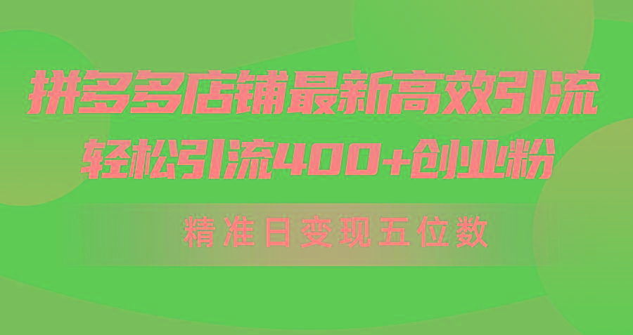 (10041期)拼多多店铺最新高效引流术，轻松引流400+创业粉，精准日变现五位数！-游客之家
