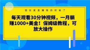 每天观看30分钟视频，一月躺赚1000+美金！保姆级教程，可放大操作【揭秘】-游客之家