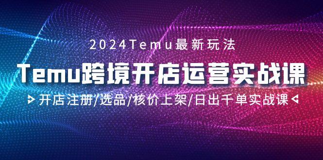 2024Temu跨境开店运营实战课，开店注册/选品/核价上架/日出千单实战课-游客之家