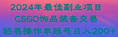 2024年最佳副业项目 CSGO饰品装备交易 轻易操作单账号日入200+-游客之家