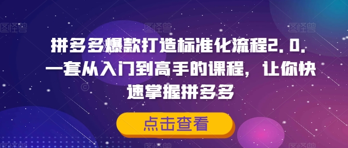 拼多多爆款打造标准化流程2.0，一套从入门到高手的课程，让你快速掌握拼多多-游客之家