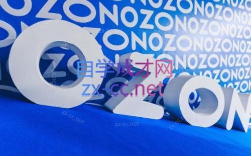 森哥·出海俄罗斯电商实操(2024)-游客之家