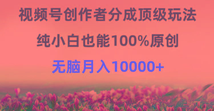 (9608期)视频号创作者分成顶级玩法，纯小白也能100%原创，无脑月入10000+-游客之家