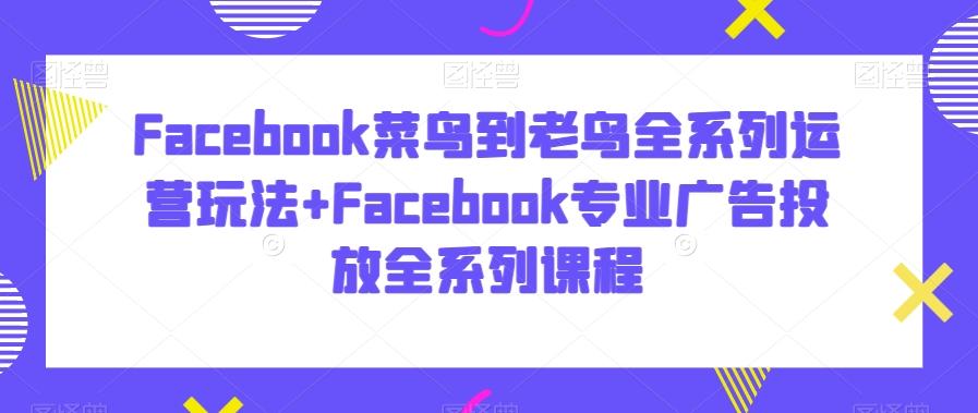 Facebook菜鸟到老鸟全系列运营玩法+Facebook专业广告投放全系列课程-游客之家
