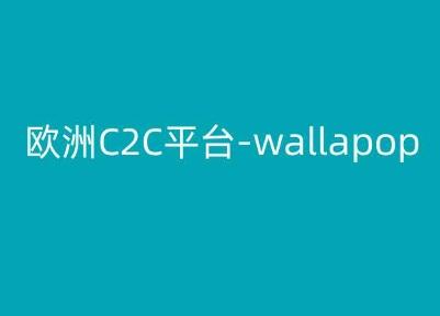 欧洲C2C平台-wallapop-kim跨境电商教程-游客之家