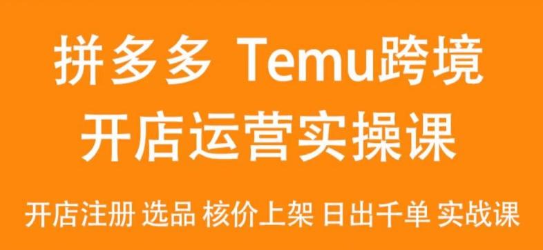2024Temu最新玩法，Temu跨境开店运营实操课，开店注册/选品/核价上架/日出千单实战课-游客之家