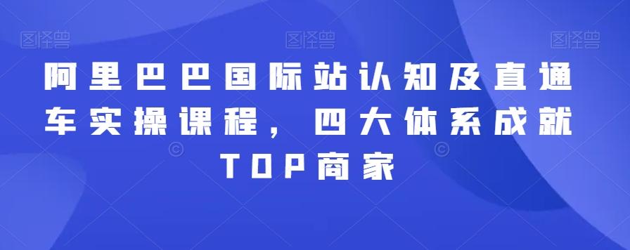 阿里巴巴国际站认知及直通车实操课程，四大体系成就TOP商家-游客之家