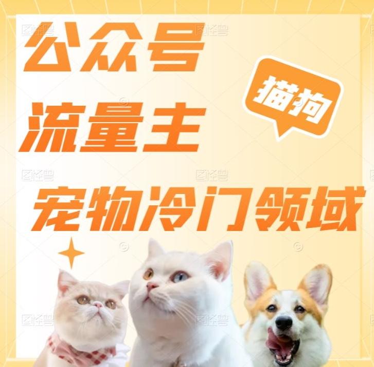 公众号流量主，萌宠冷门领域，单日收益2000+，简单暴力掘金，矩阵操作，无限放大收益！-游客之家