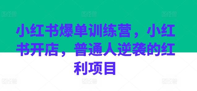 小红书爆单训练营，小红书开店，普通人逆袭的红利项目-游客之家