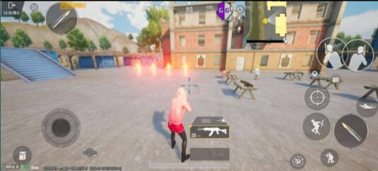 PUBG超广角(支持4服)-游客之家