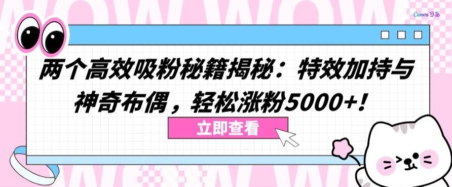 两个高效吸粉秘籍揭秘：特效加持与神奇布偶，轻松涨粉5000+【揭秘】-游客之家