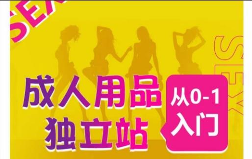 成人用品独立站从0-1入门，成品独立站运营全流程教学，七大好卖成品独立站推荐-游客之家