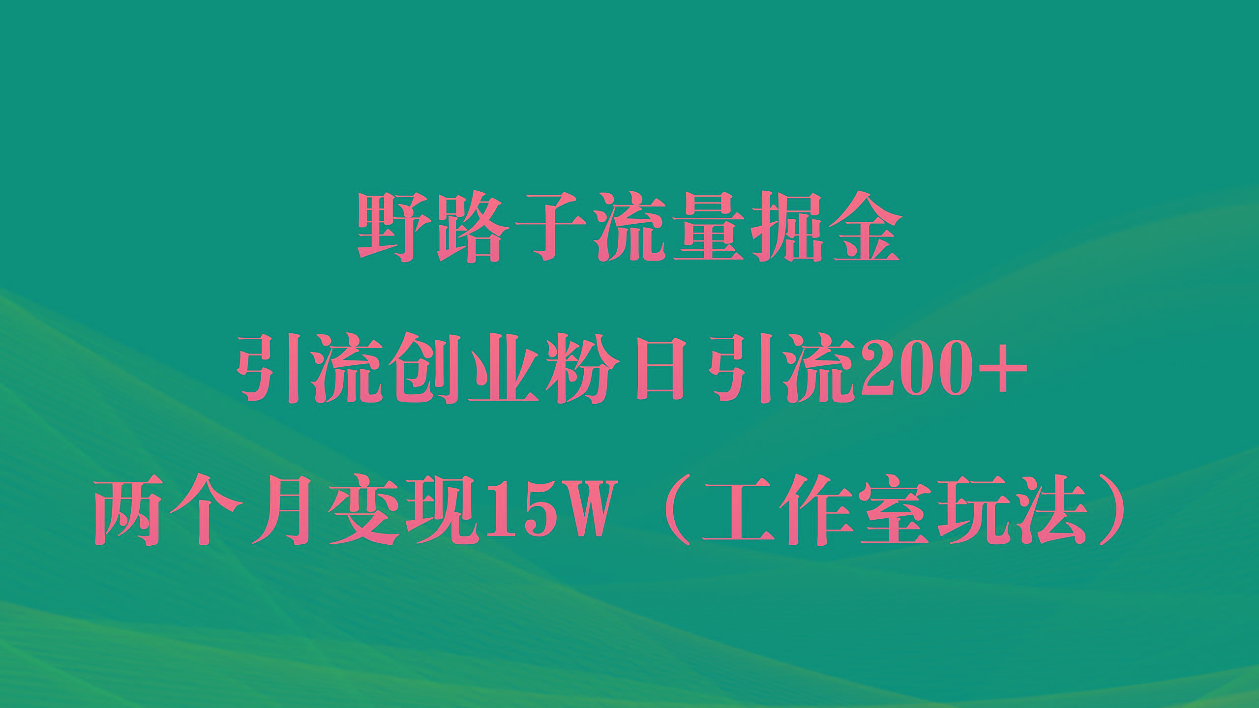 (9513期)野路子流量掘金，引流创业粉日引流200+，两个月变现15W(工作室玩法))-游客之家