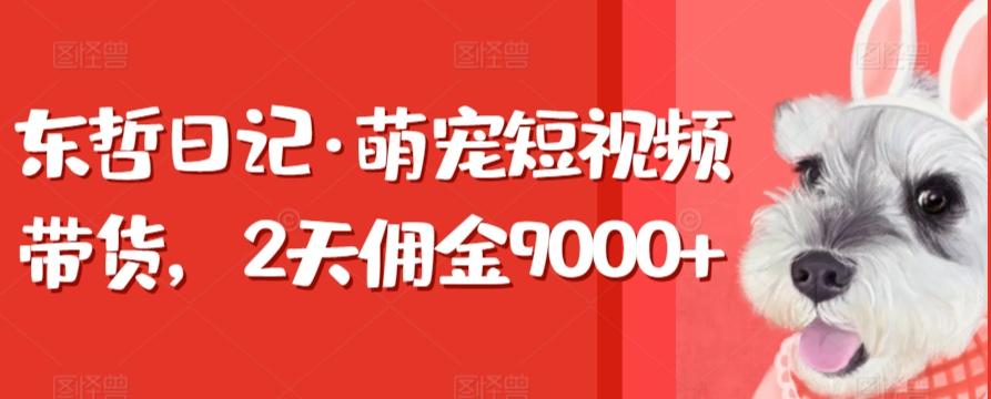 东哲日记·萌宠短视频带货，2天佣金9000+-游客之家