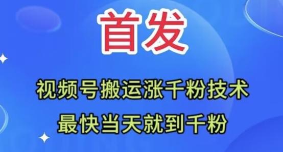全网首发：视频号无脑搬运涨千粉技术，最快当天到千粉【揭秘】-游客之家
