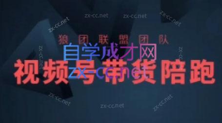 狼团联盟·2024视频号带货-游客之家