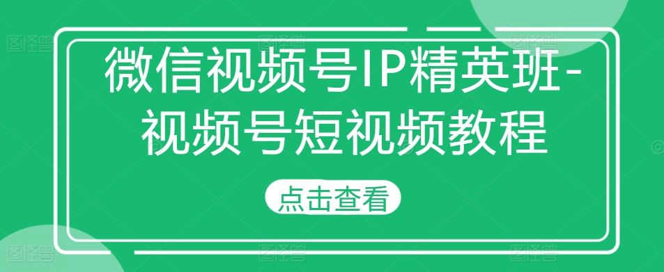 微信视频号IP精英班-视频号短视频教程-游客之家