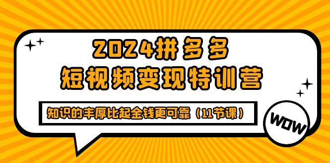 (9817期)2024拼多多短视频变现特训营，知识的丰厚比起金钱更可靠(11节课)-游客之家