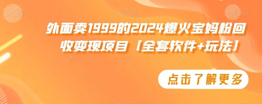 外面卖1999的2024爆火宝妈粉回收变现项目【全套软件+玩法】【揭秘】-游客之家