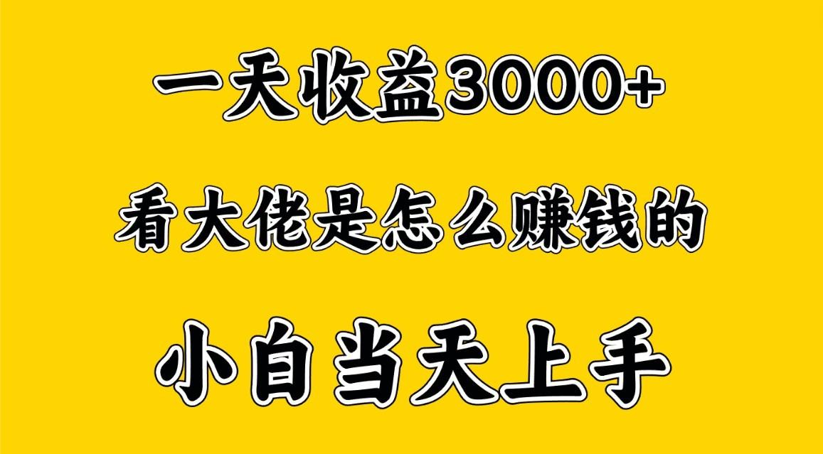 一天赚3000多，大佬是这样赚到钱的，小白当天上手，穷人翻身项目-游客之家