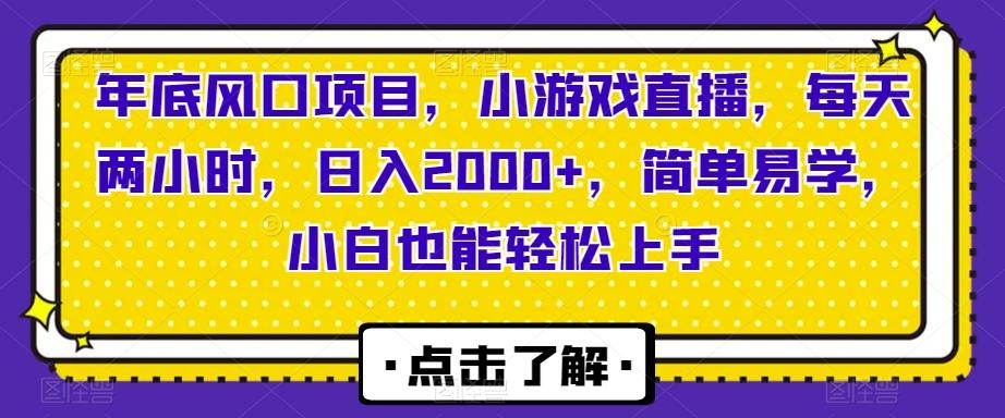 年底风口项目，小游戏直播，每天两小时，日入2000+，简单易学，小白也能轻松上手-游客之家
