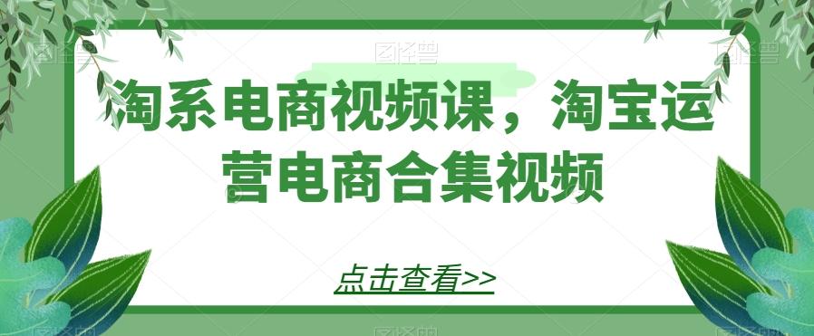 淘系电商视频课，淘宝运营电商合集视频-游客之家