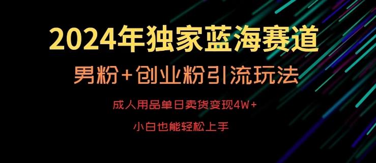 2024年独家蓝海赛道，成人用品单日卖货变现4W+，男粉+创业粉引流玩法，不愁搞不到流量【揭秘】-游客之家