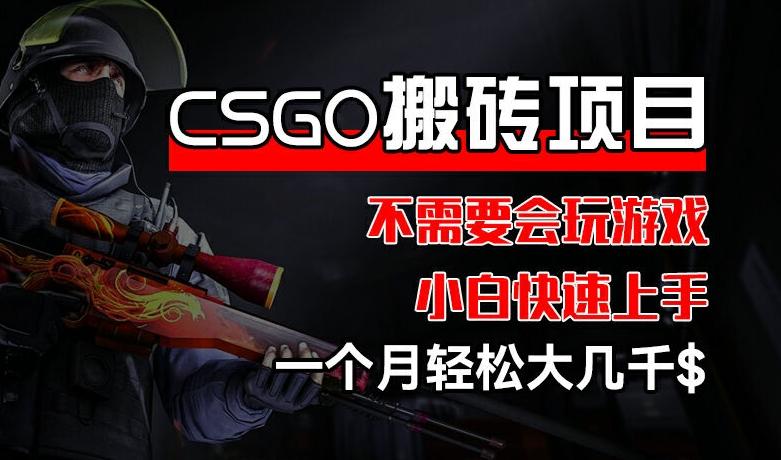 CSGO 装备搬砖项目，操作简单，不需要会玩游戏，小白也能快速上手，一个月轻松大几千【揭秘】-游客之家