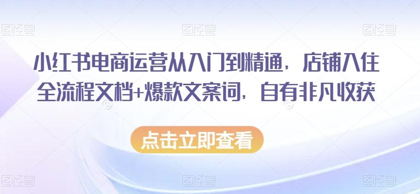 小红书电商运营从入门到精通，店铺入住全流程文档+爆款文案词，自有非凡收获-游客之家