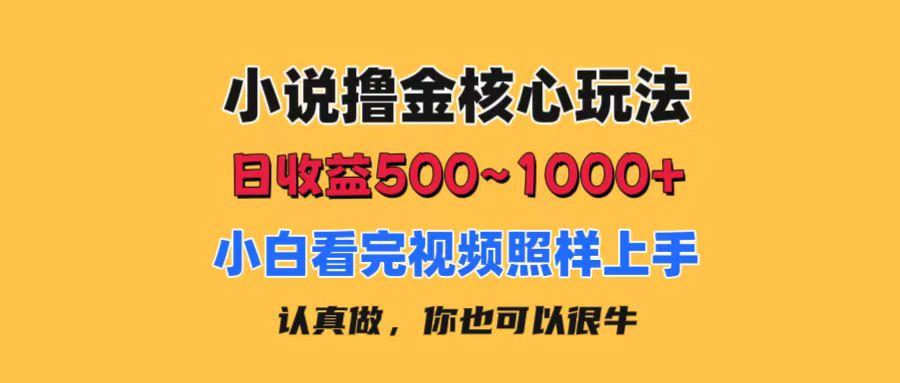 小说撸金核心玩法，日收益500-1000+，小白看完照样上手，0成本有手就行-游客之家