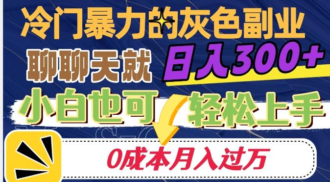 冷门暴利的副业项目，聊聊天就能日入300+，0成本月入过万【揭秘】-游客之家