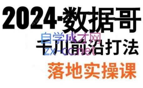 数据哥·2024年千川前沿打法落地实操课-游客之家