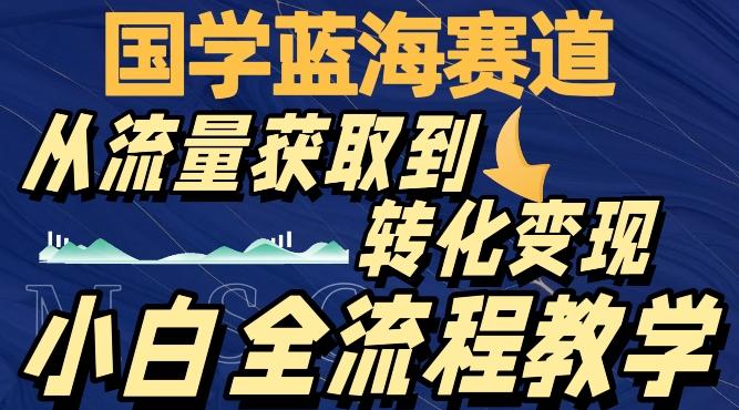 国学蓝海赛道，从流量获取，到转化变现，全流程教学-游客之家