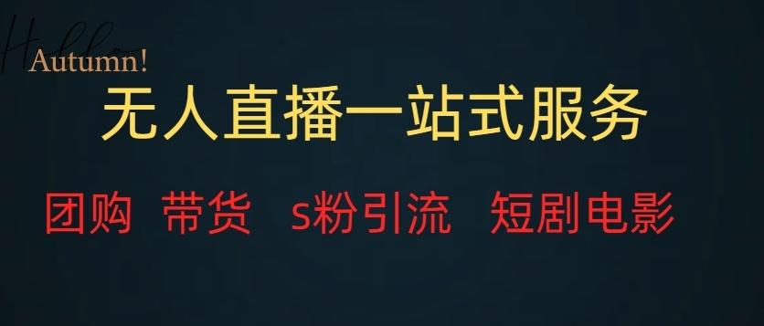 无人直播一站式服务（教程以及变现方式）-游客之家
