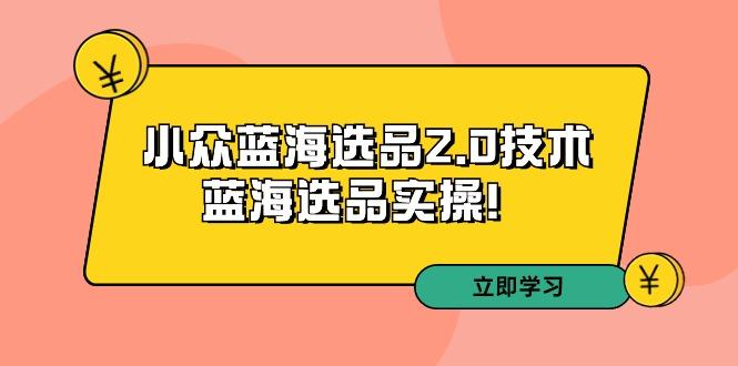 拼多多培训第33期：小众蓝海选品2.0技术-蓝海选品实操！-游客之家